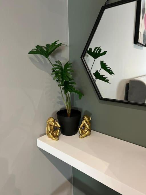 Peaceful & Stylish